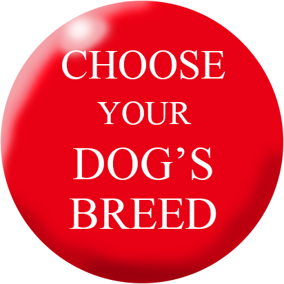 Choose Your Breed Products