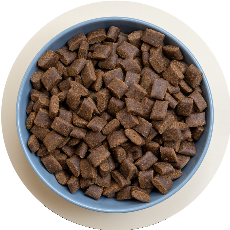 Dog Food Products