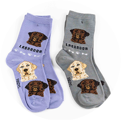 My Favorite Dog Breed Sock Collection Products