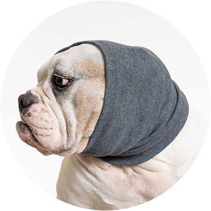 Calming Dog Ear Covers for Anxiety Products
