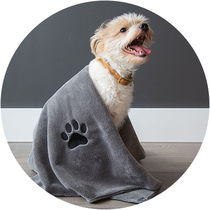 Dog Towels Products